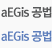 aEGis 공법